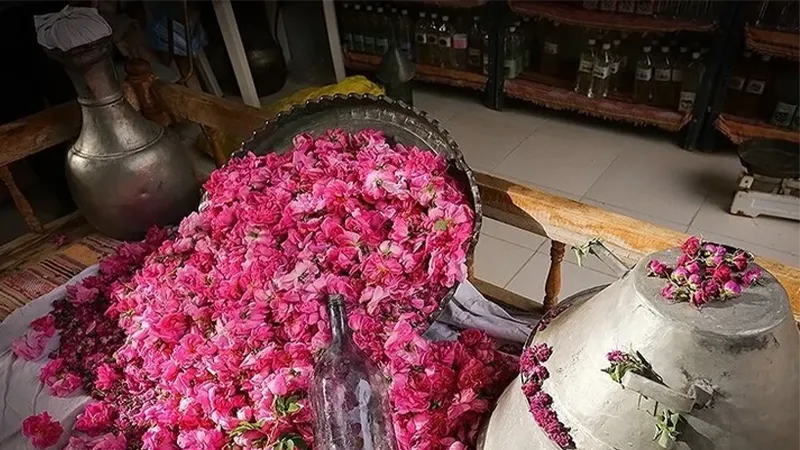 معرفی کامل سوغات کاشان؛ از گل محمدی تا فرش کاشان 1 گلاب سوغات سنتی کاشان