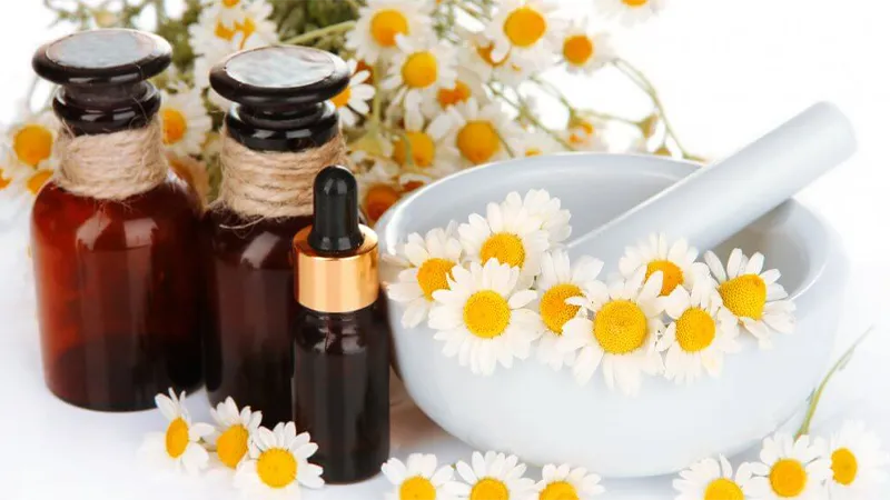 10 تا از خواص درمانی بابونه که نمیدانید! 7 خواص دارویی بابونه
