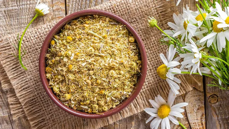 10 تا از خواص درمانی بابونه که نمیدانید! 5 دمنوش بابونه
