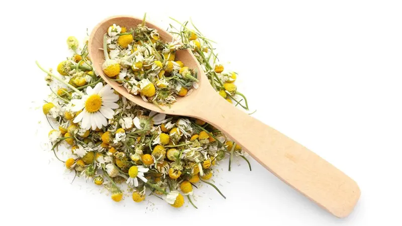 10 تا از خواص درمانی بابونه که نمیدانید! 4 خوتص بابونه/سیستم ایمنی