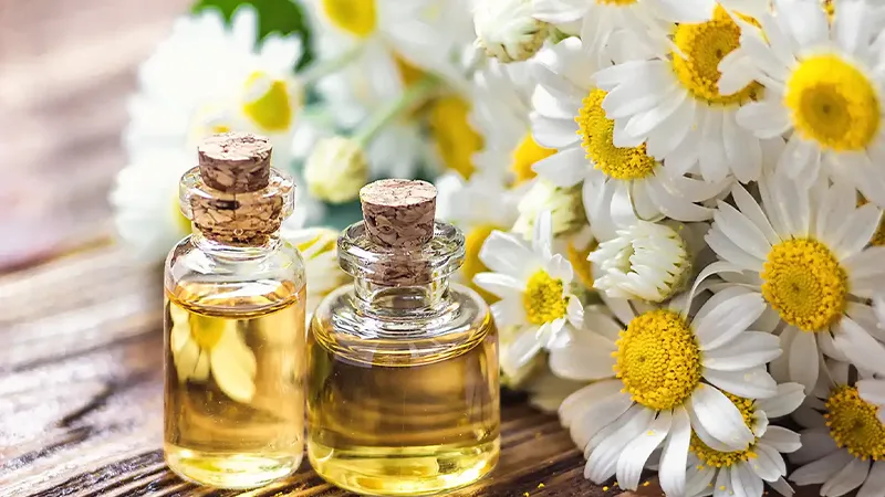 10 تا از خواص درمانی بابونه که نمیدانید! 6 روغن بابونه