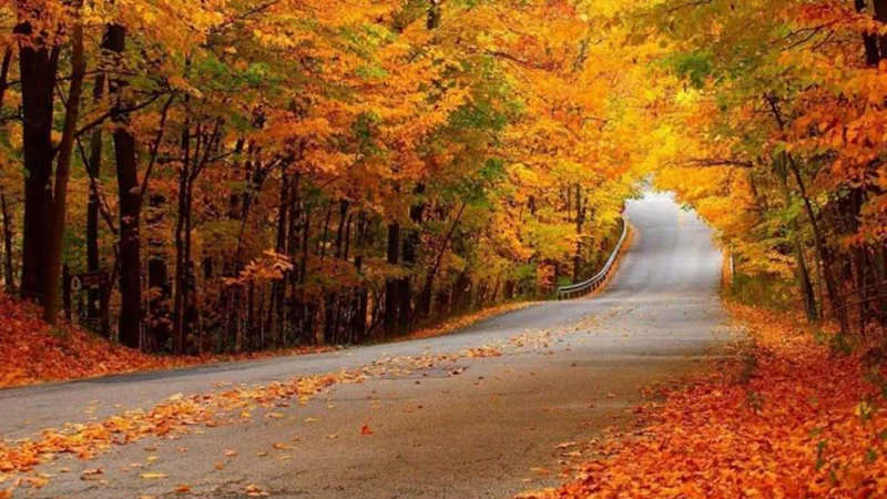بهترین شهرهای داخلی سفر در پاییز 1 شمال ایران، بهترین جا برای سفر در پاییز
