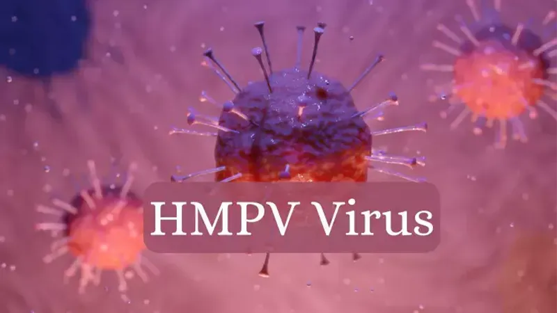 هر آنچه که باید درباره ویروس HMPV بدانید! 2 چگونگی انتشار و فراوانی ویروس HMPV